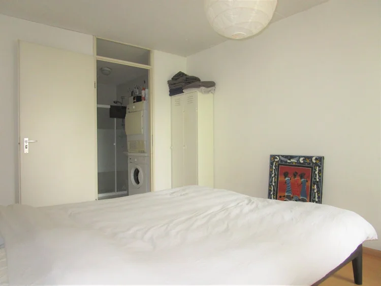 Rental property 4
