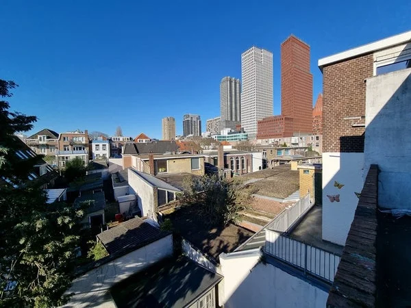 Rental property 3