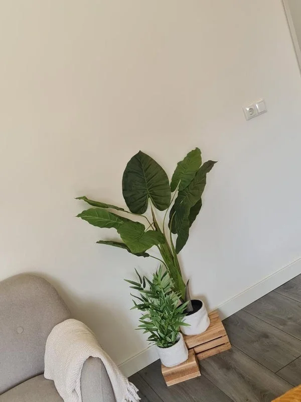 Rental property 4