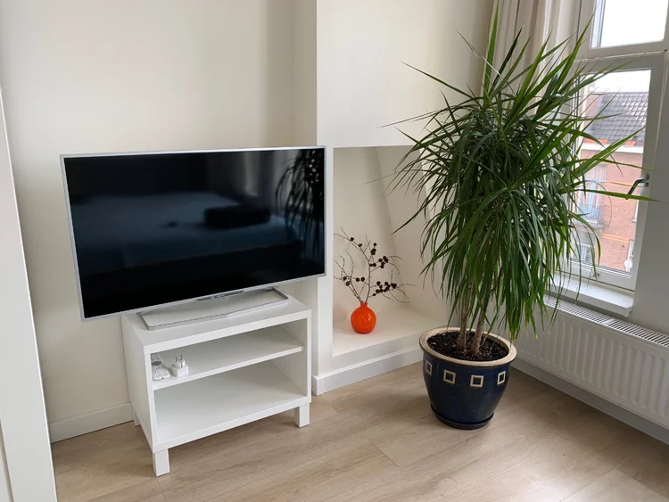Rental property 5