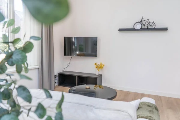 Rental property 5