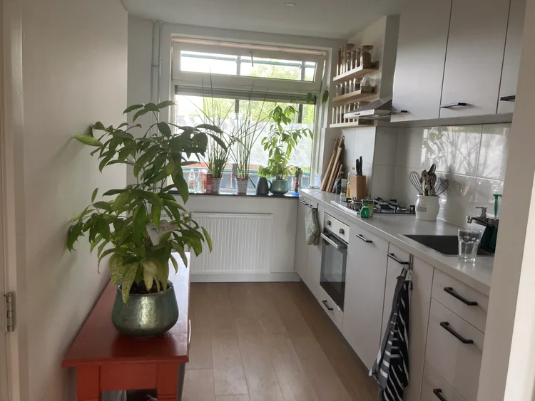 Rental property 5