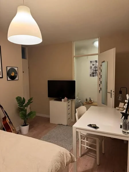 Rental property 4