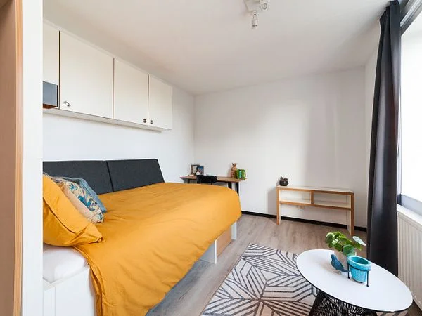 Rental property 2