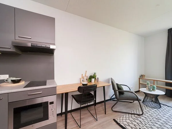 Rental property 4