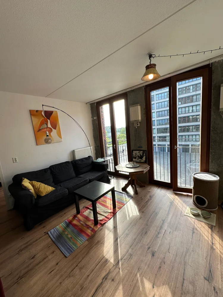 Rental property 5