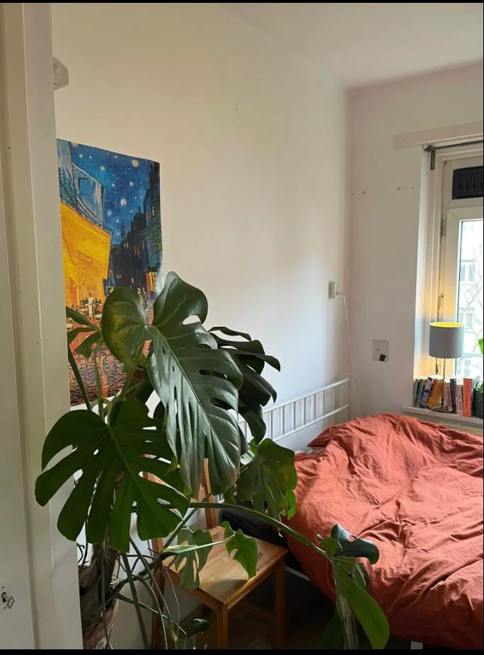 Rental property 2
