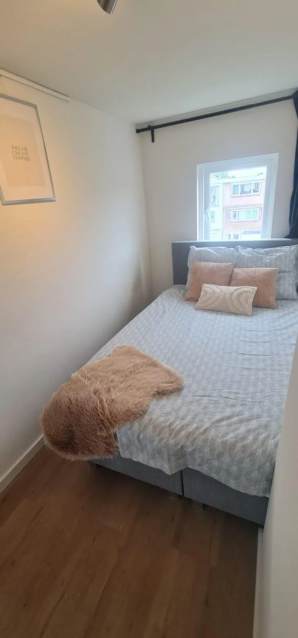 Rental property 3