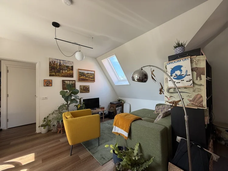 Rental property 5