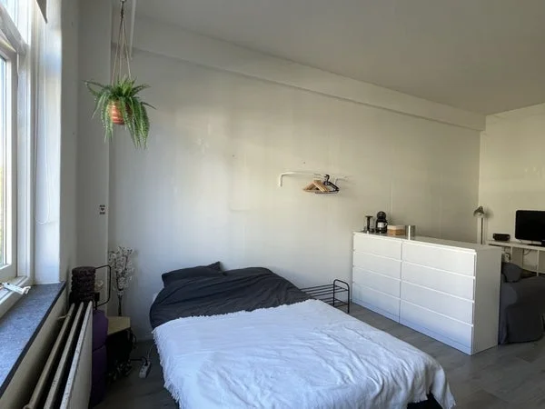 Rental property 5