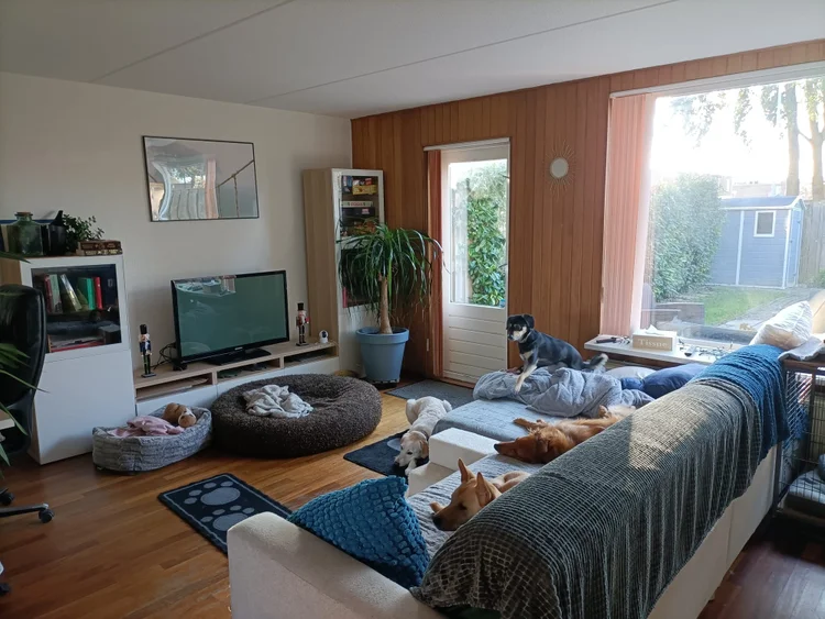 Rental property 2