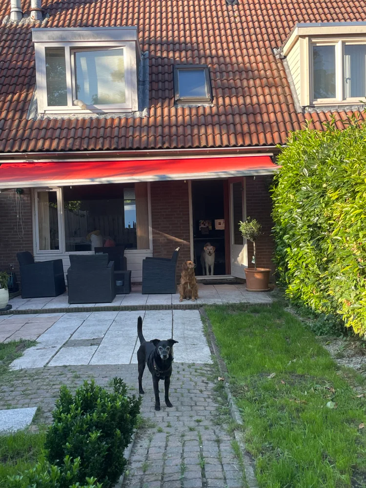 Rental property 4