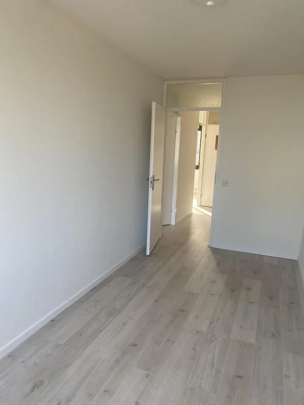 Rental property 5