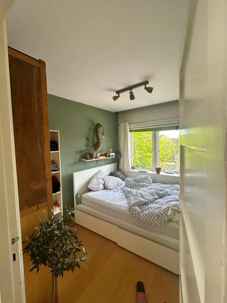 Rental property 3