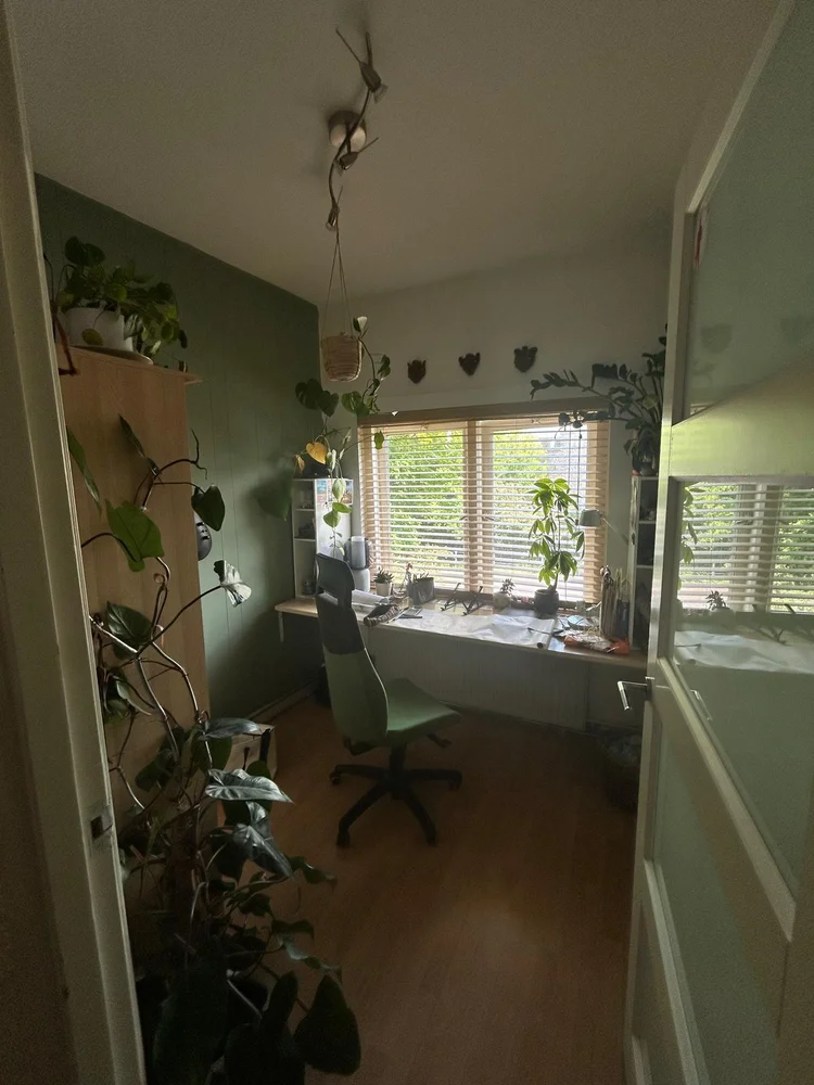 Rental property 5
