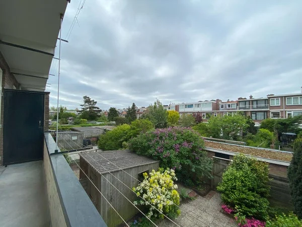 Rental property 5