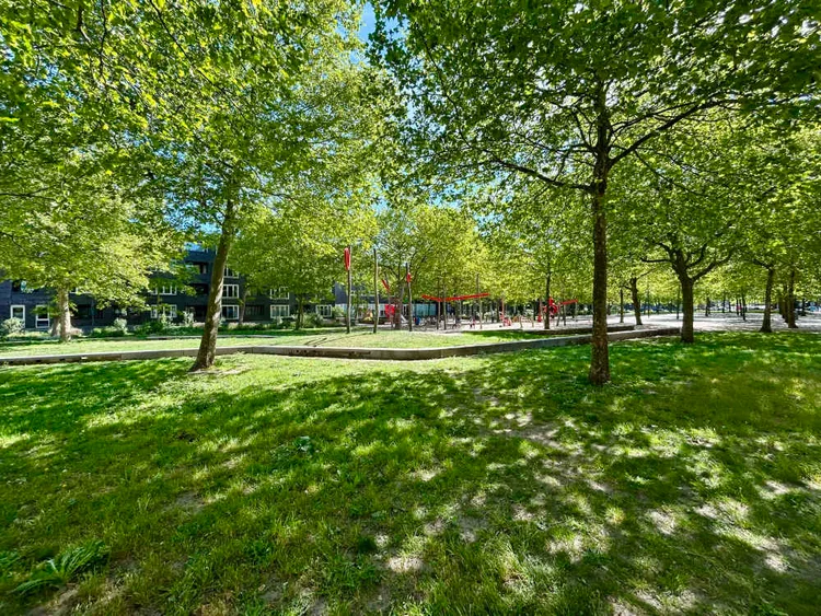 Rental property 2