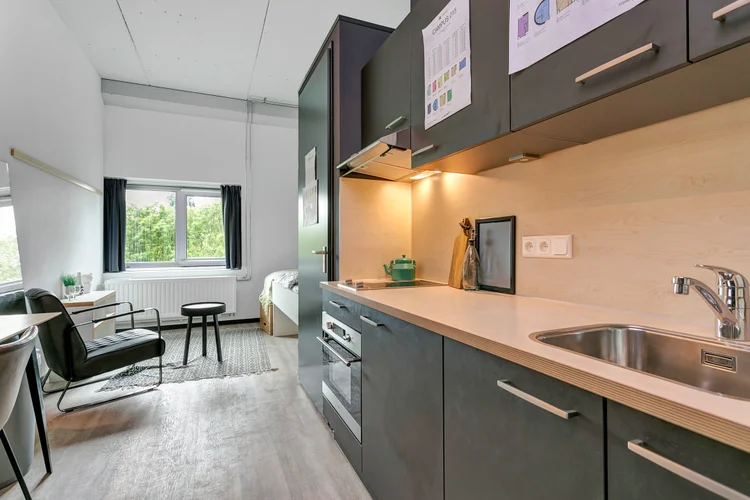 Rental property 3