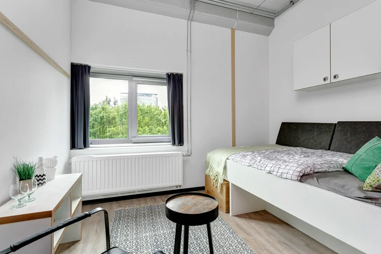Rental property 5