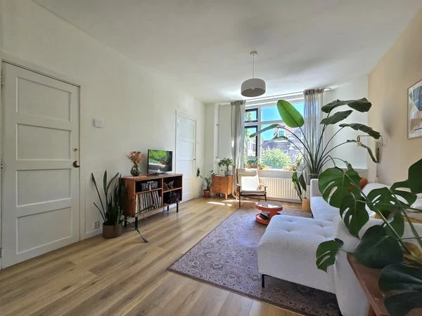 Rental property 5