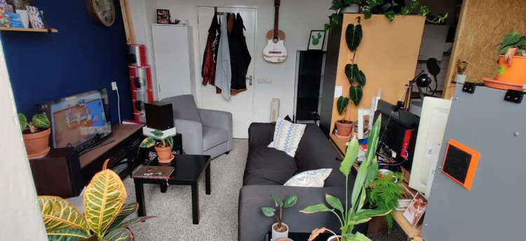 Rental property 5