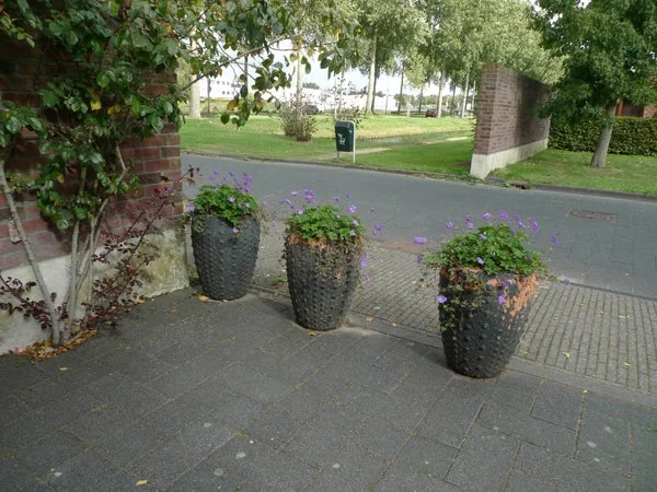 Rental property 2