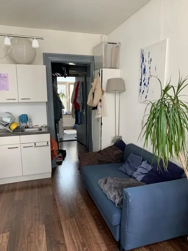 Rental property 5