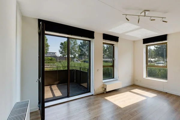 Rental property 4