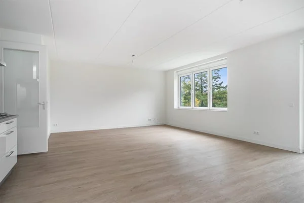 Rental property 5