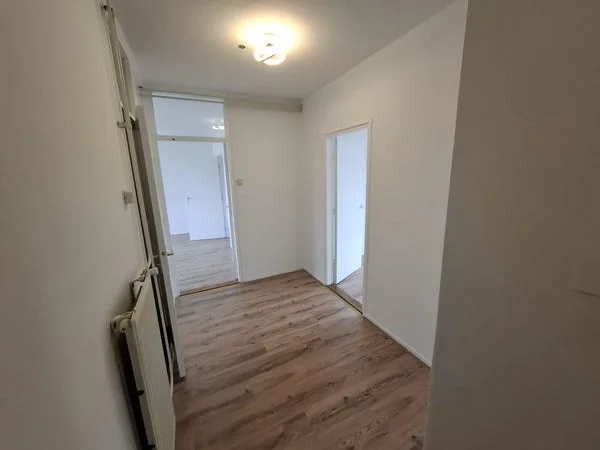 Rental property 2