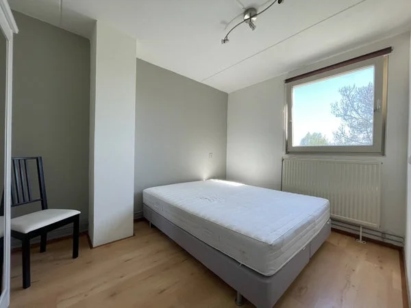 Rental property 2