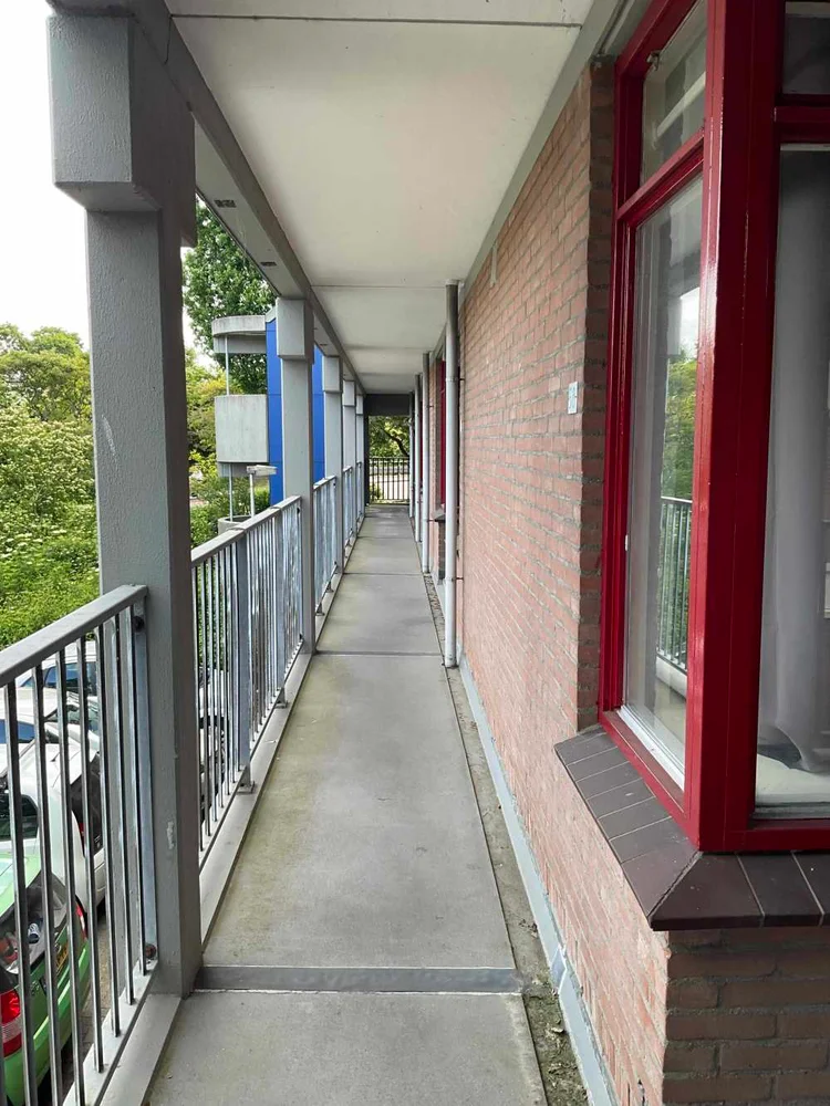 Rental property 5