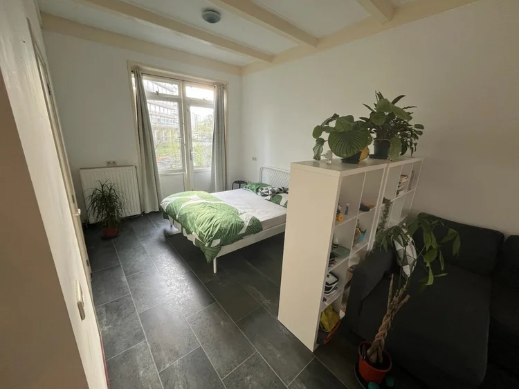 Rental property 5