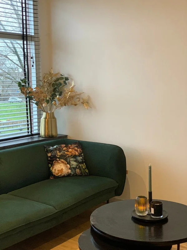 Rental property 5