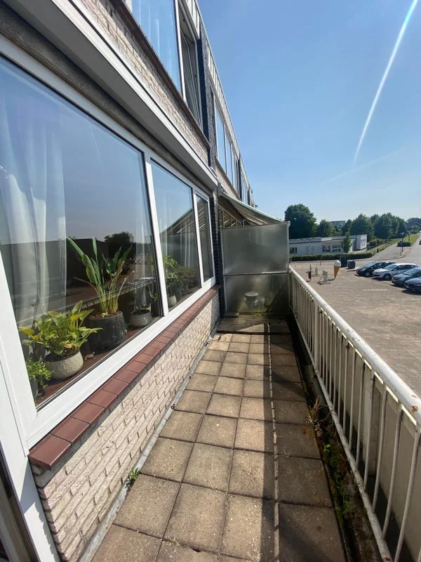 Rental property 5