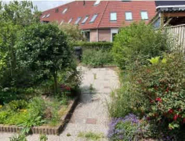 Rental property 5