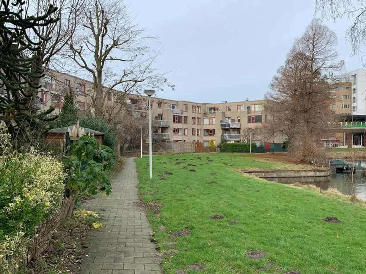 Rental property 5