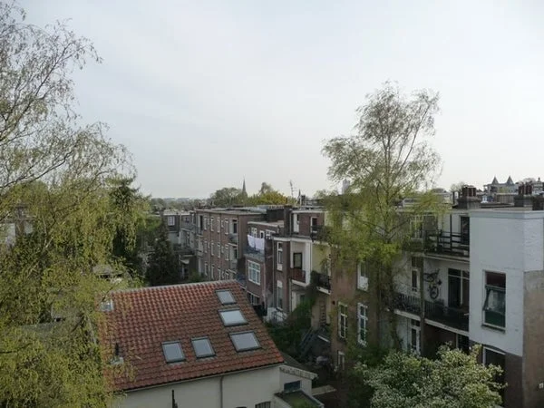 Rental property 5