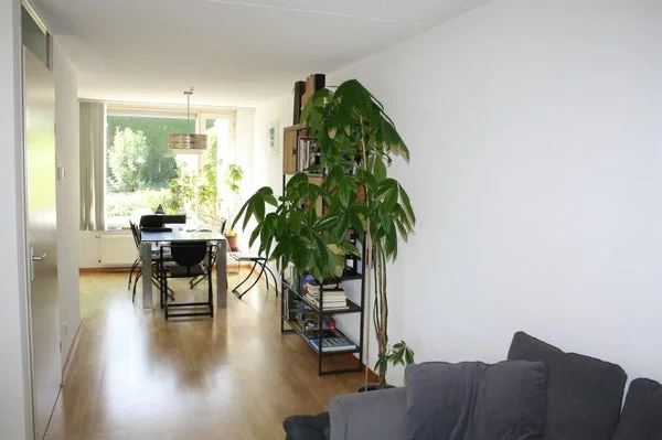Rental property 5
