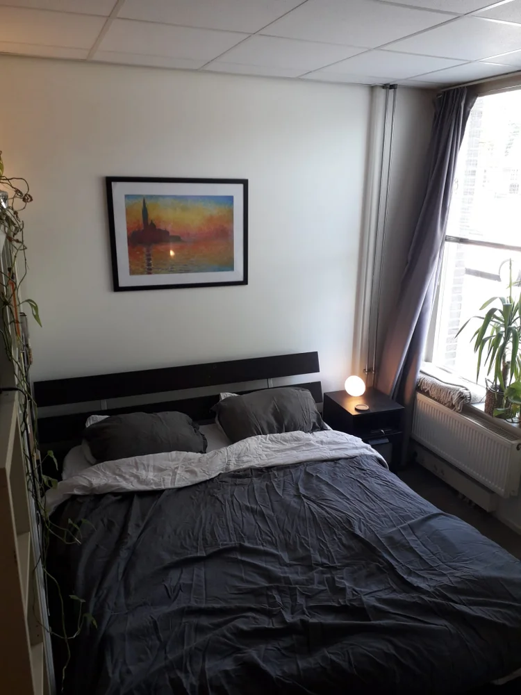 Rental property 5