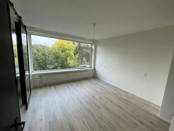 Rental property 5