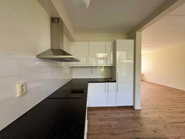 Rental property 5