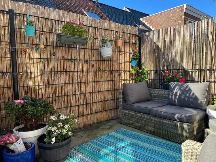 Rental property 5
