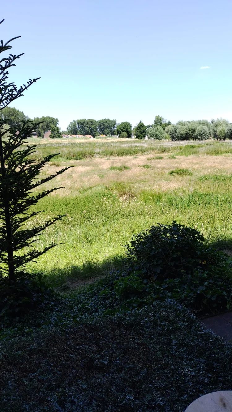 Rental property 5
