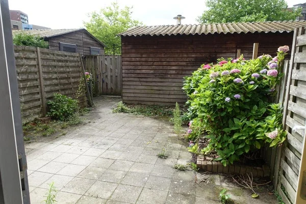 Rental property 5