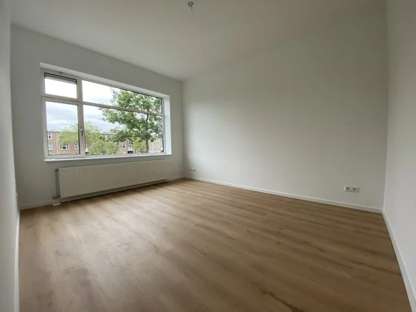 Rental property 5