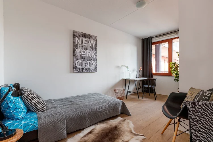 Rental property 5
