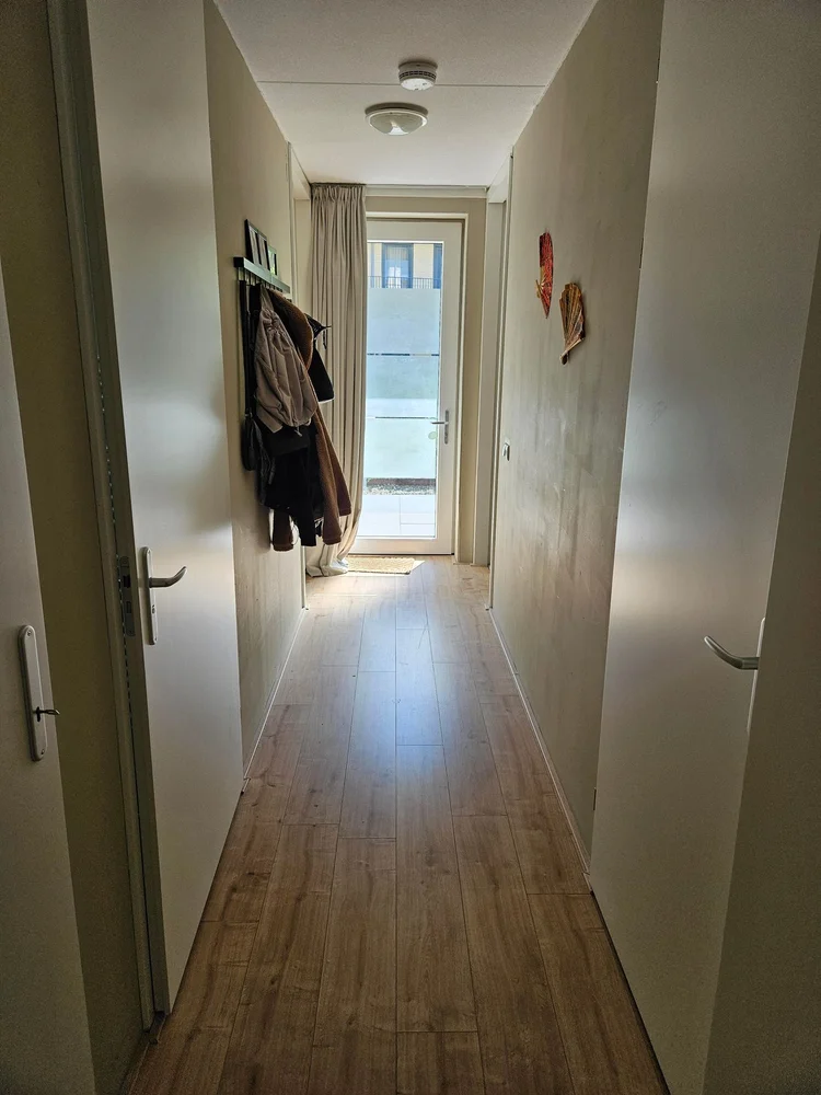Rental property 5