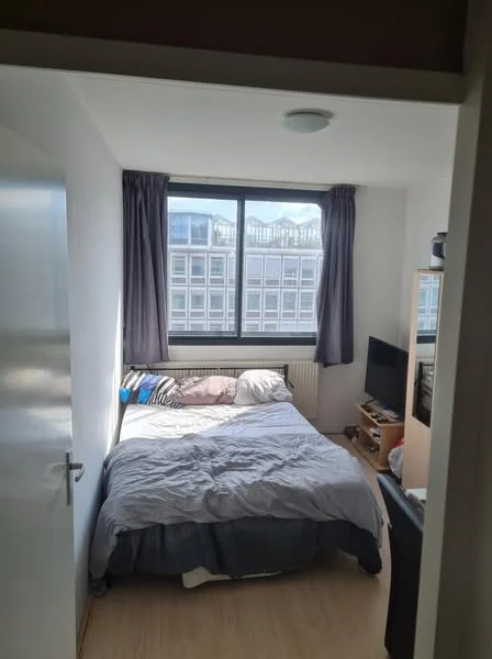 Rental property 5