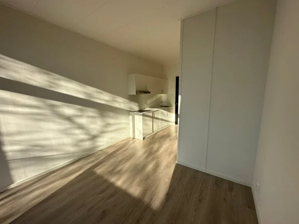 Rental property 5